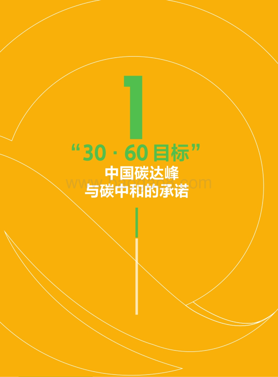 2021-2022中国低碳发展行业展望分析报告.pdf_第4页