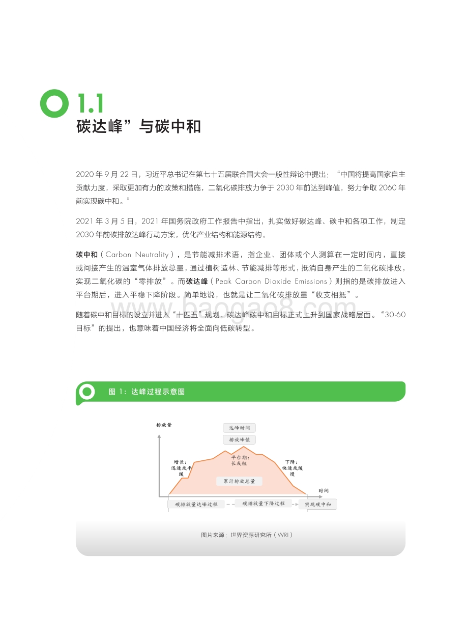 2021-2022中国低碳发展行业展望分析报告.pdf_第5页