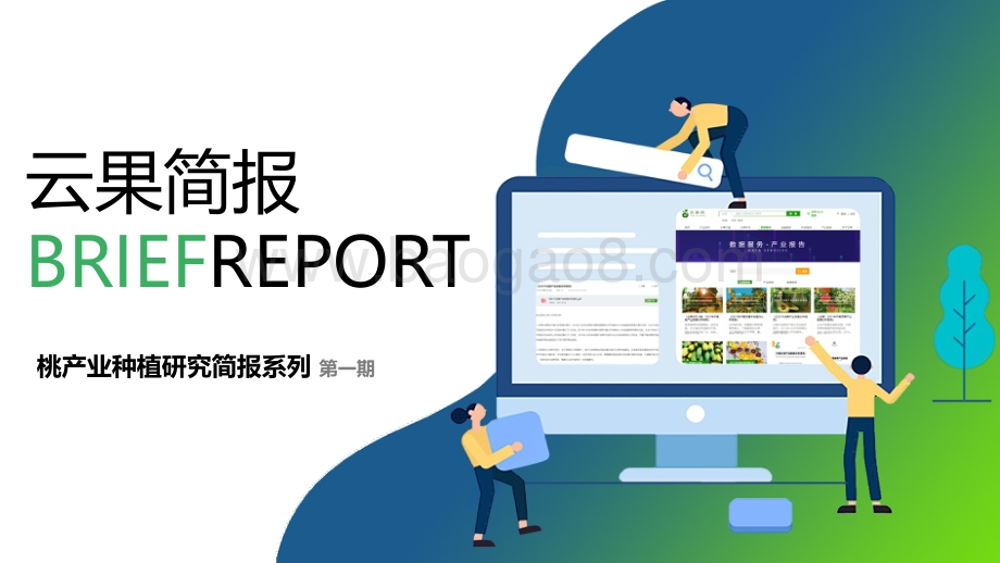 云果：桃产业种植研究简报-第一期_7页_1mb.pdf_第1页