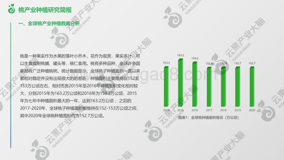 云果：桃产业种植研究简报-第一期_7页_1mb.pdf_第2页