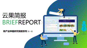云果：桃产业种植研究简报-第一期_7页_1mb.pdf