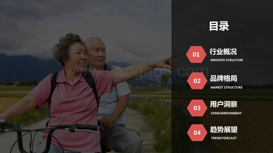 2021-2022京东成人纸尿裤行业趋势洞察报告.pptx_第2页