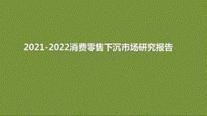 2021-2022消费零售下沉市场研究报告.pptx
