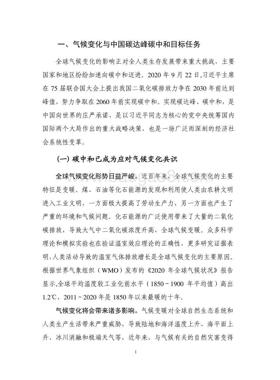 2021-2022数字碳中和研究报告.pdf_第4页