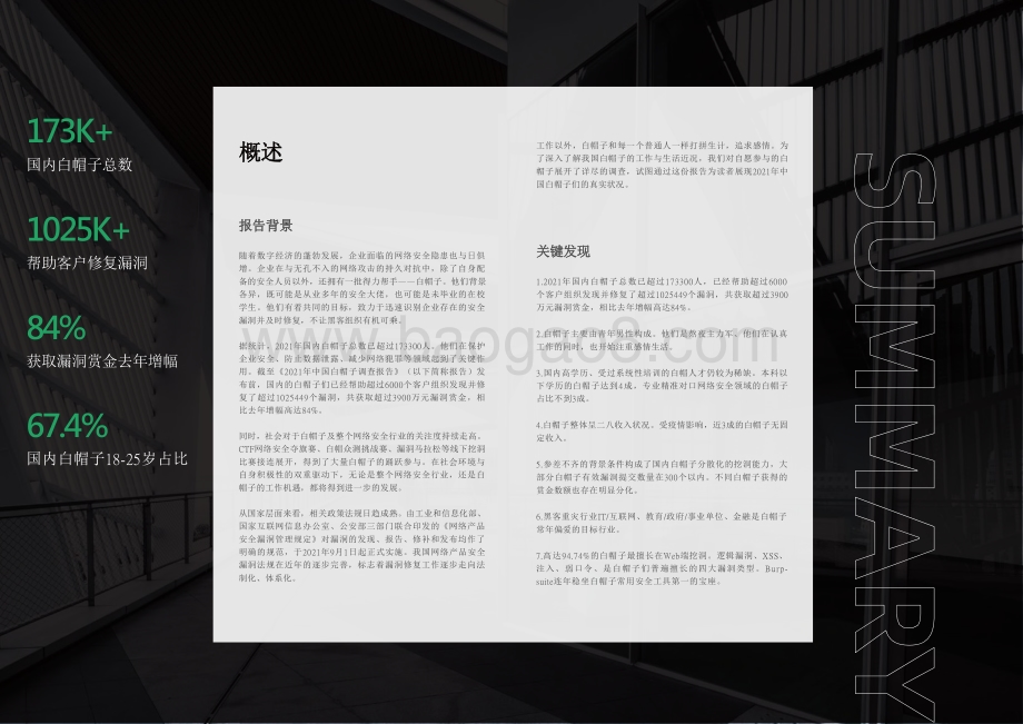 2021-2022中国白帽子调查报告.pdf_第2页