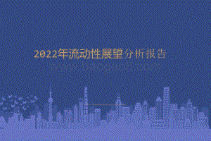 2022年流动性展望分析报告.pptx