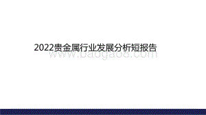 2022贵金属行业发展分析短报告.pptx