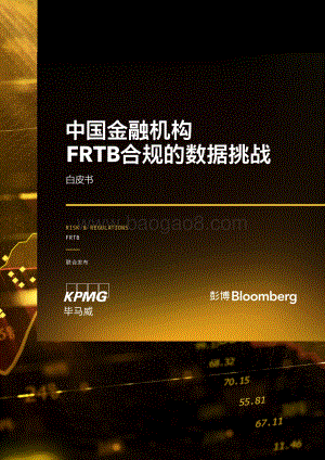 《中国金融机构FRTB合规的数据挑战》白皮书-22页_1mb.pdf
