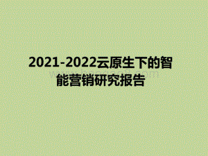 2021-2022云原生下的智能营销研究报告.pdf