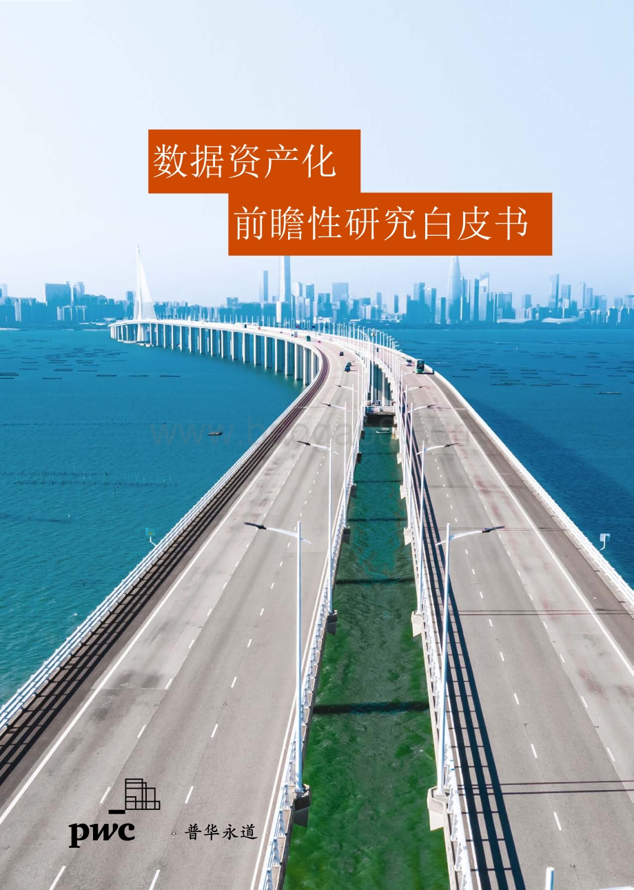 数据资产化前瞻性研究白皮书_56页_11mb.pdf_第1页