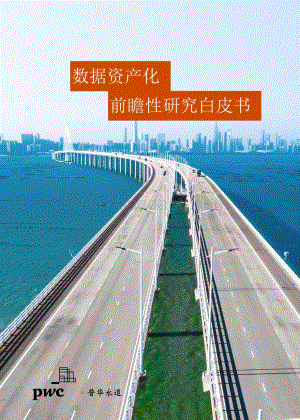 数据资产化前瞻性研究白皮书_56页_11mb.pdf