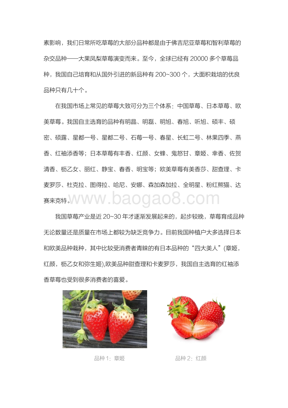 2021-2022年中国草莓产业数据分析报告.pdf_第5页