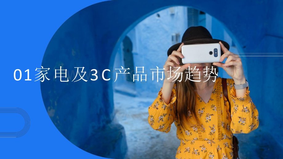 2021-2022家电及3C产品出海研究报告.pdf_第5页