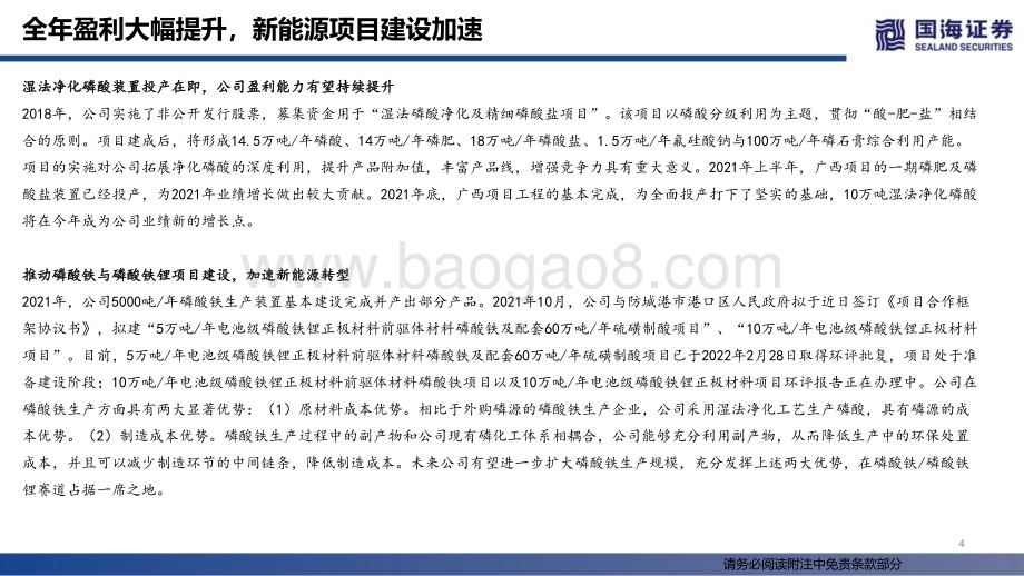 20220330-国海证券-川金诺-300505.SZ-川金诺2021年报点评_全年盈利大幅提升_新能源项目建设加速_19页_893kb.pdf_第4页