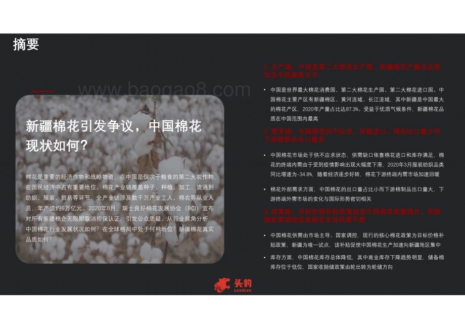 2021年中国棉花行业发展现状分析短报告.pdf_第2页