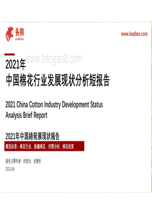 2021年中国棉花行业发展现状分析短报告.pdf