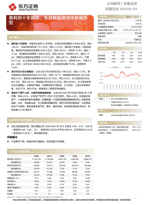 20220331-东方证券-中国石化-600028.SH-盈利创十年新高_布局新能源加快低碳转型_6页_435kb (1).pdf
