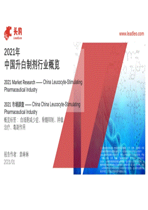 2021年中国升白制剂行业概览.pdf