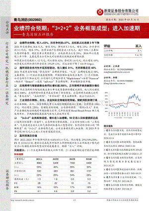 20220331-浙商证券-青鸟消防-002960.SZ-青鸟消防点评报告_业绩符合预期；_3+2+2_业务框架成型；进入加速期_3页_537kb.pdf
