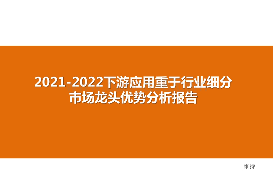 2021-2022下游应用重于行业细分市场龙头优势分析报告.pptx_第1页