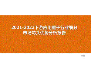 2021-2022下游应用重于行业细分市场龙头优势分析报告.pptx