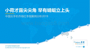 20190628-易观国际-中国云手机市场红手指案例分析：小荷才露尖尖角_早有蜻蜓立上头_34页_5mb.pdf