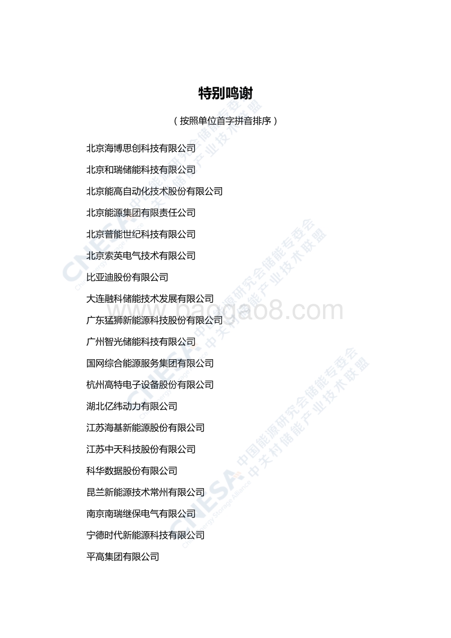 储能产业研究白皮书2021_24页_1mb.pdf_第3页