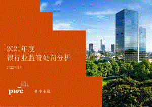 2021年度银行监管处罚分析报告_29页_1mb.pdf