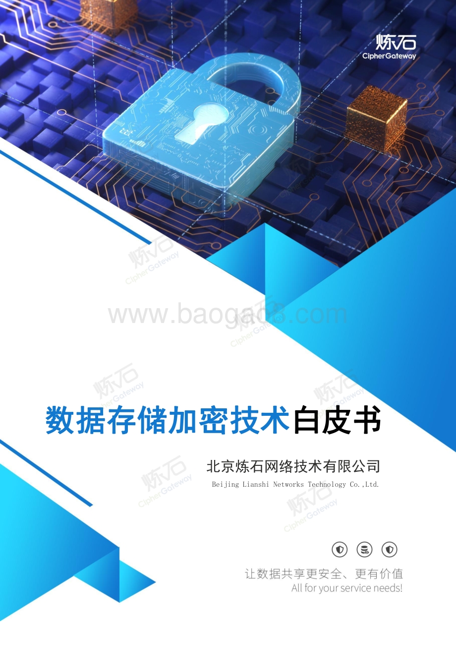 数据存储加密技术白皮书V1.0_26页_1mb.pdf_第1页