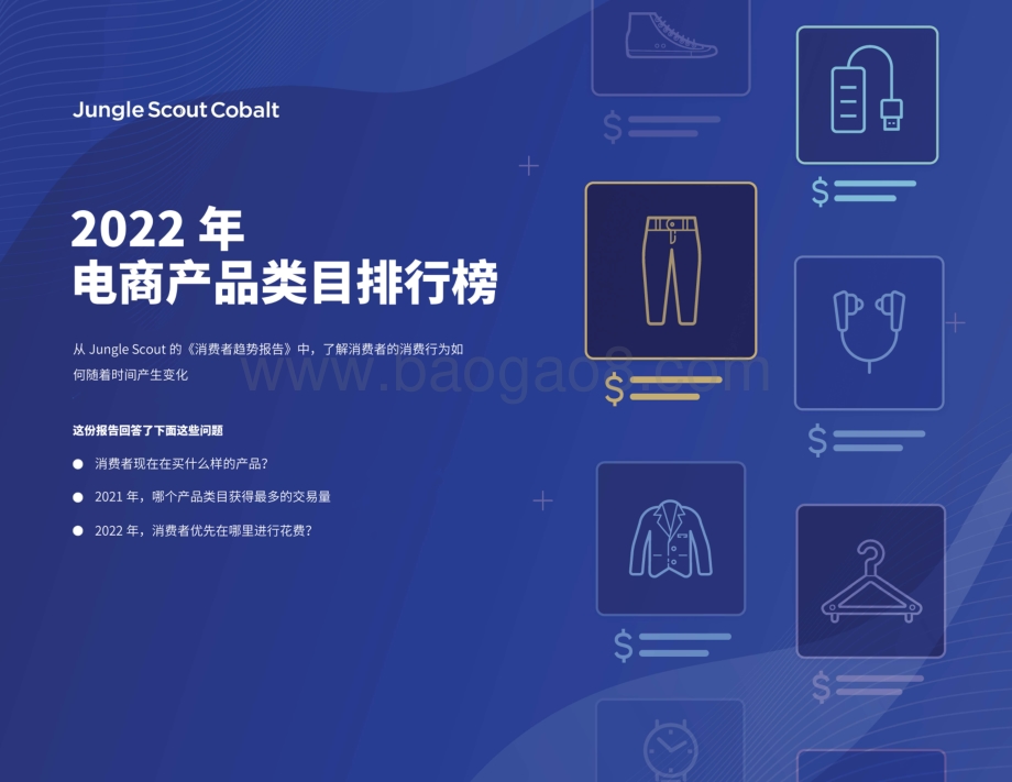 JungleScout：2022年电商类目排行榜及消费趋势观察_9页_1mb.pdf_第2页