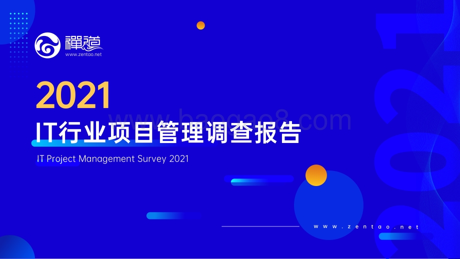 2021年IT行业项目管理调查报告_53页_14mb.pdf_第1页