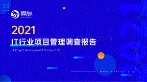 2021年IT行业项目管理调查报告_53页_14mb.pdf