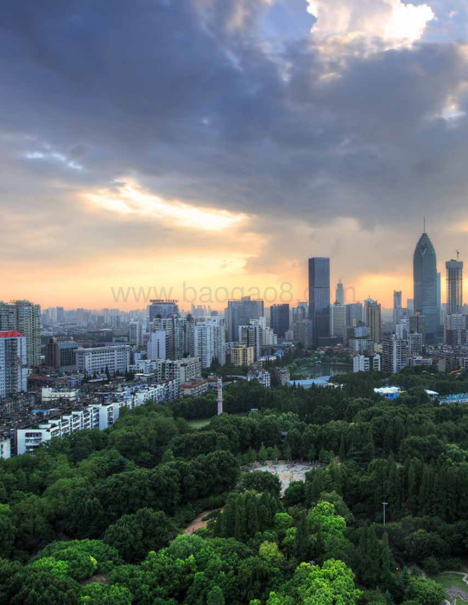 C40_Cities_世界资源研究院-武汉市交通碳排放达峰路径研究_86页_2mb.pdf_第2页