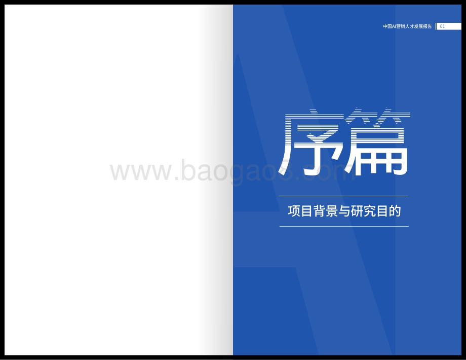 中国AI营销人才发展报告_30页_8mb.pdf_第3页