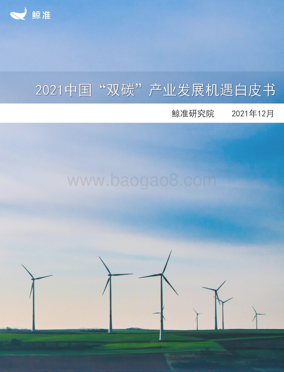 2021年中国“双碳”产业发展机遇白皮书_36页_4mb.pdf_第1页