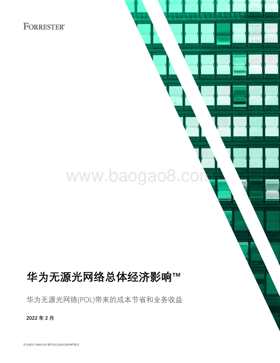 无源光网络总体经济影响报告_22页_1mb.pdf_第1页