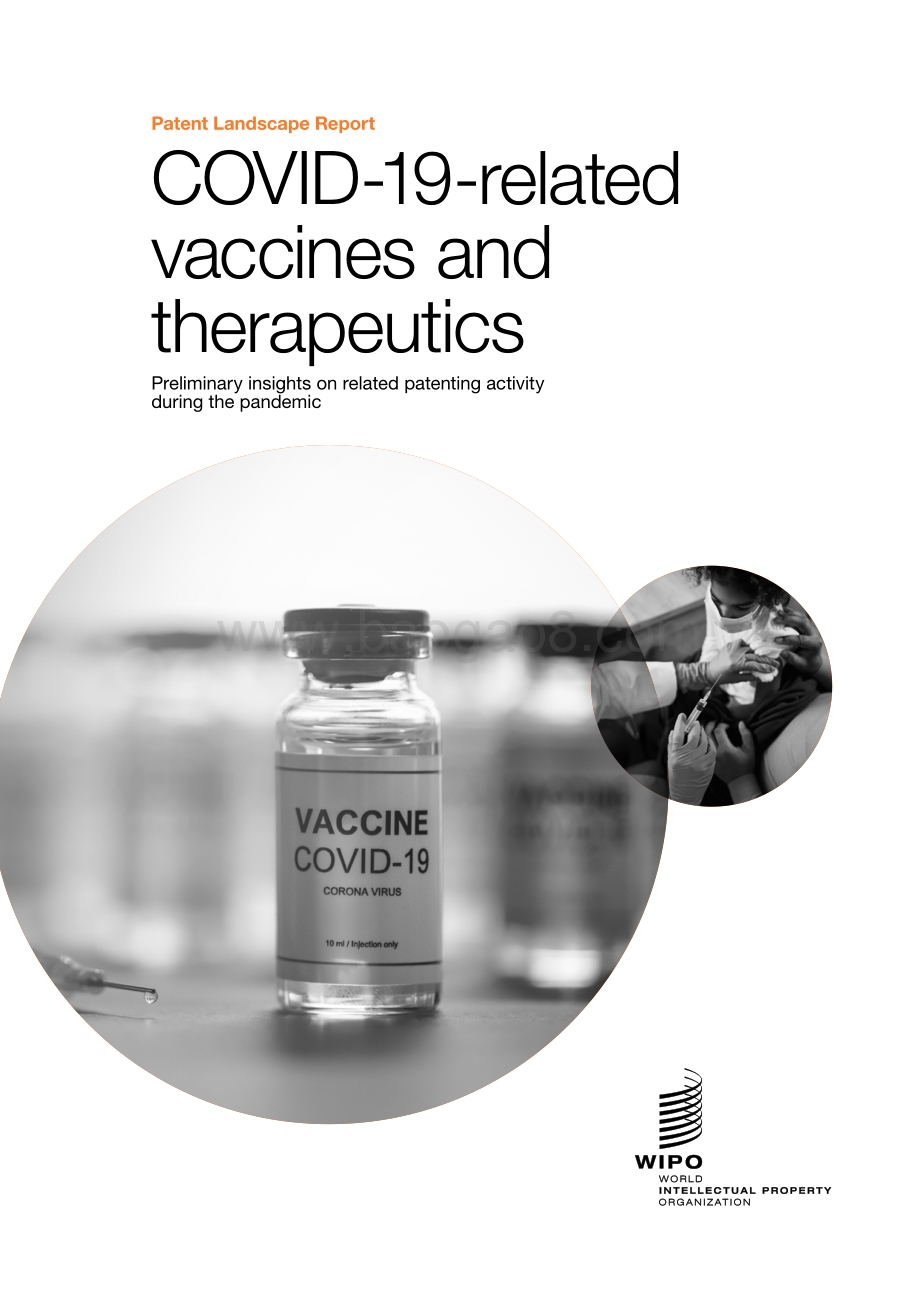 WIPO：COVID-19相关疫苗和疗法专利态势报告_83页_1mb.pdf_第1页
