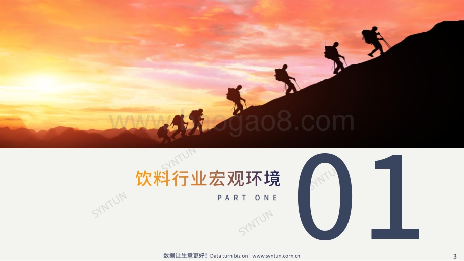 星图数据：功能饮料线上市场分析报告_35页_8mb.pdf_第3页