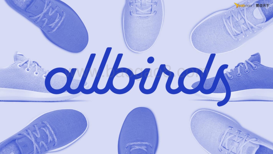 易点天下：2021AllbirdsDTC品牌深度解析_27页_2mb.pdf_第2页