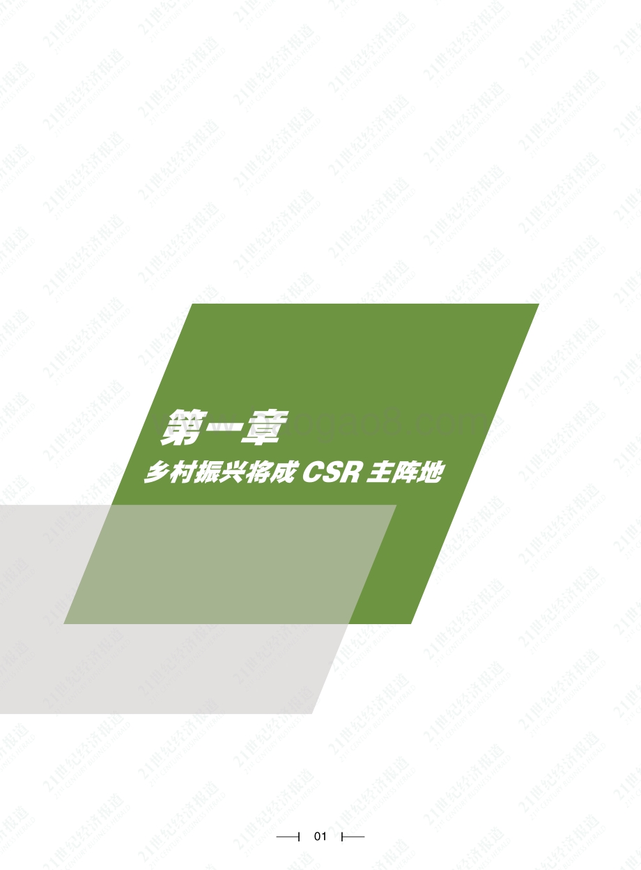21世纪经济报道：2021年中国乡村振兴之路白皮书_78页_3mb.pdf_第3页