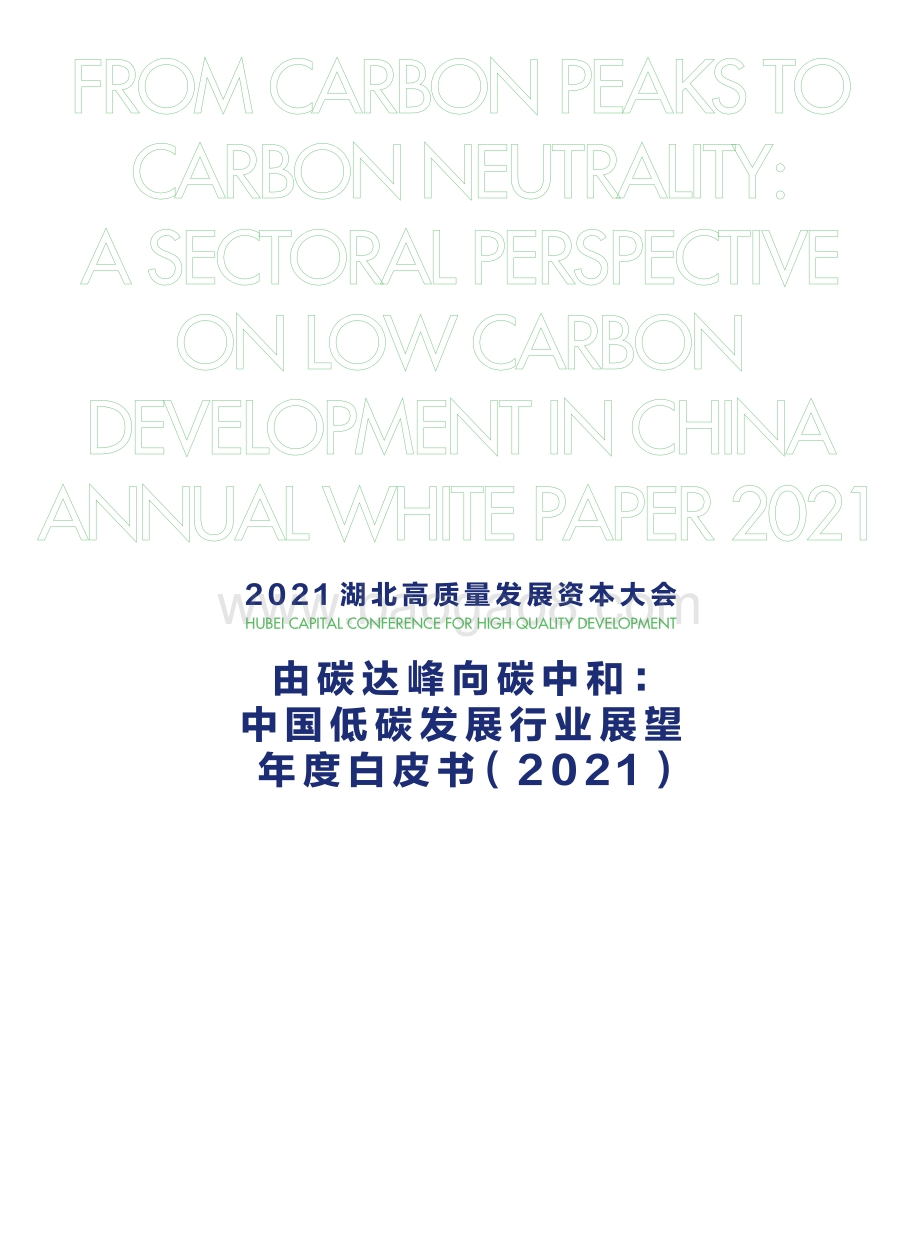 财新智库-由碳达峰向碳中和：中国低碳发展行业展望年度白皮书（2021）-85页_4mb.pdf_第3页