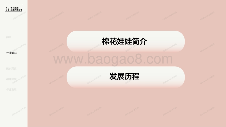 2021棉花娃娃玩家洞察报告-34页_5mb.pdf_第3页