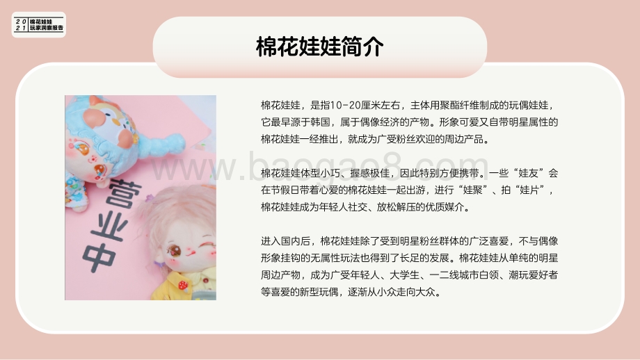 2021棉花娃娃玩家洞察报告-34页_5mb.pdf_第4页