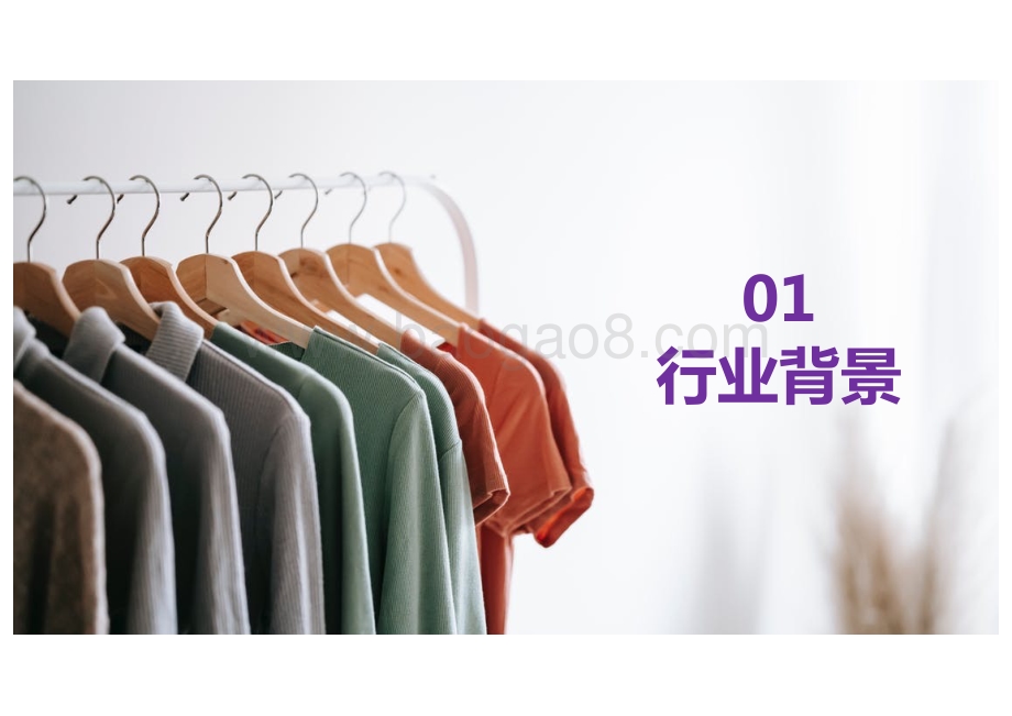 2022SHOPLINE服装行业出海报告_71页_20mb.pdf_第5页