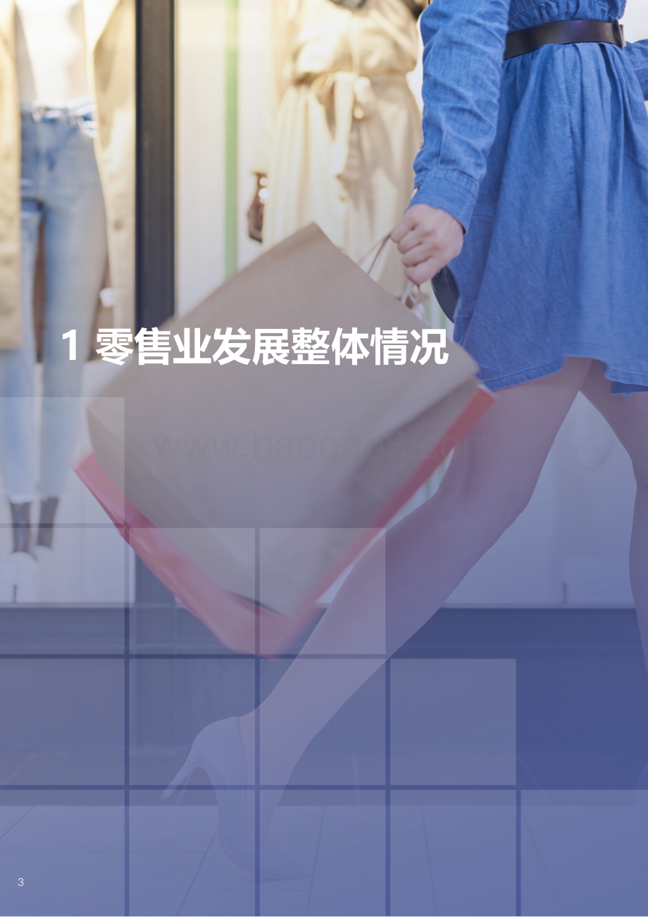 【中国百货商业协会】2021-2022中国百货零售业发展报告_41页_12mb.pdf_第4页
