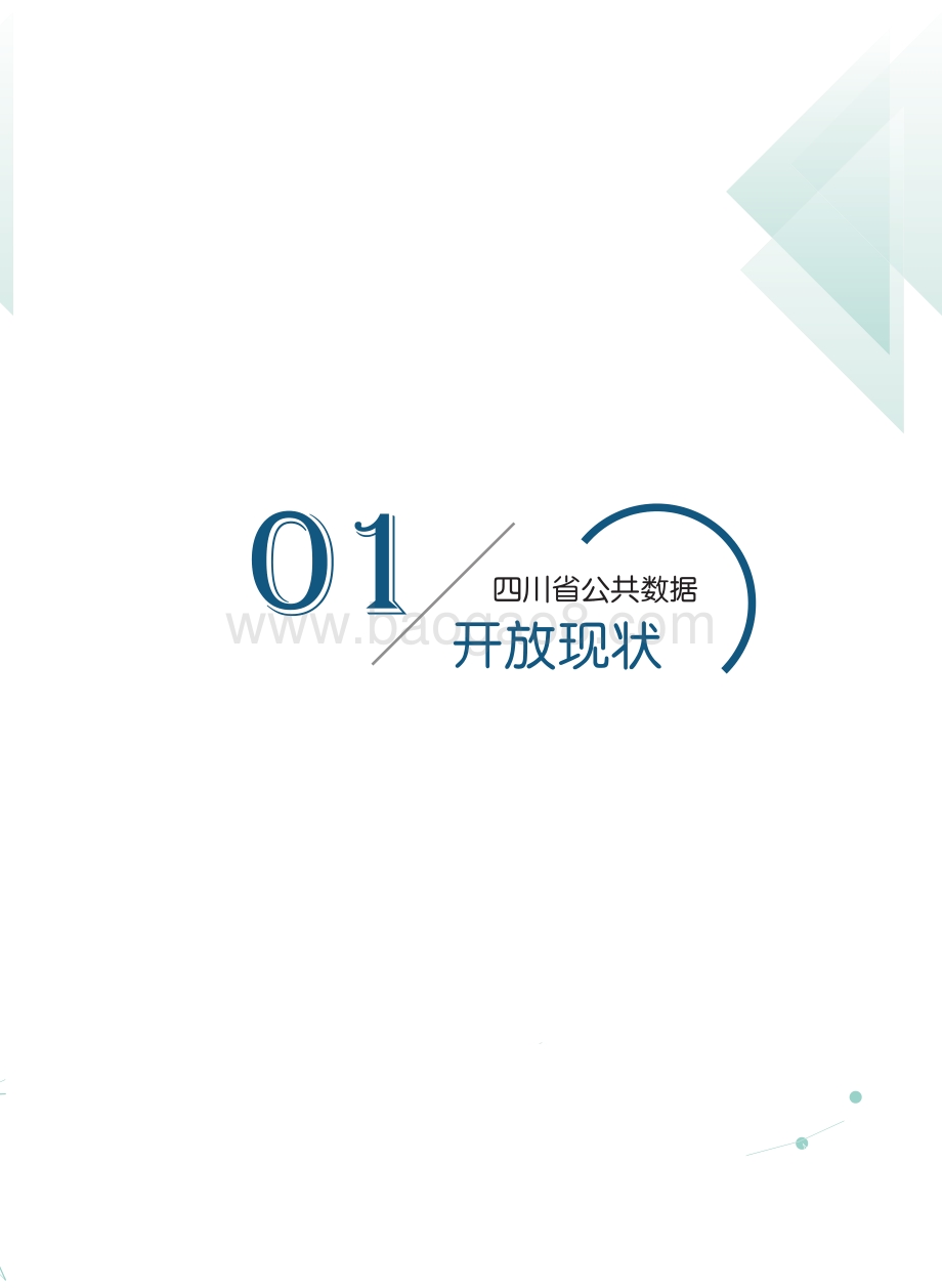 四川数据开放指数报告（2021年）_61页_19mb.pdf_第5页