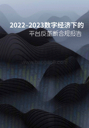 2022-2023数字经济下的平台反垄断合规报告.pdf