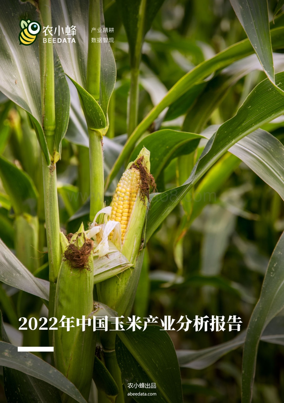农小蜂：2022年中国玉米产业分析报告_22页_11mb.pdf_第1页