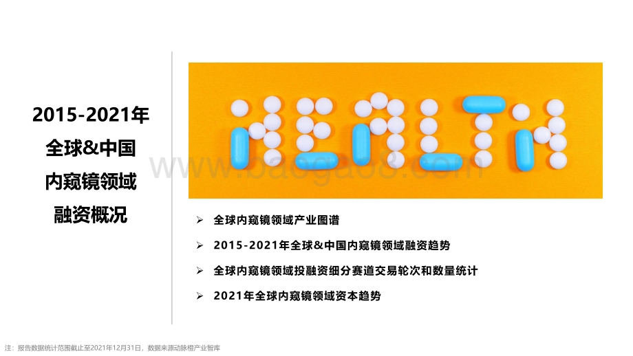 动脉橙-全球内窥镜价值趋势报告2021年-13页_2mb.pdf_第3页