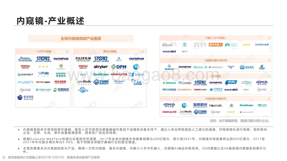 动脉橙-全球内窥镜价值趋势报告2021年-13页_2mb.pdf_第4页